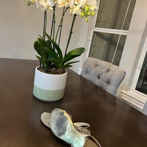 Beautiful and elegant sandals